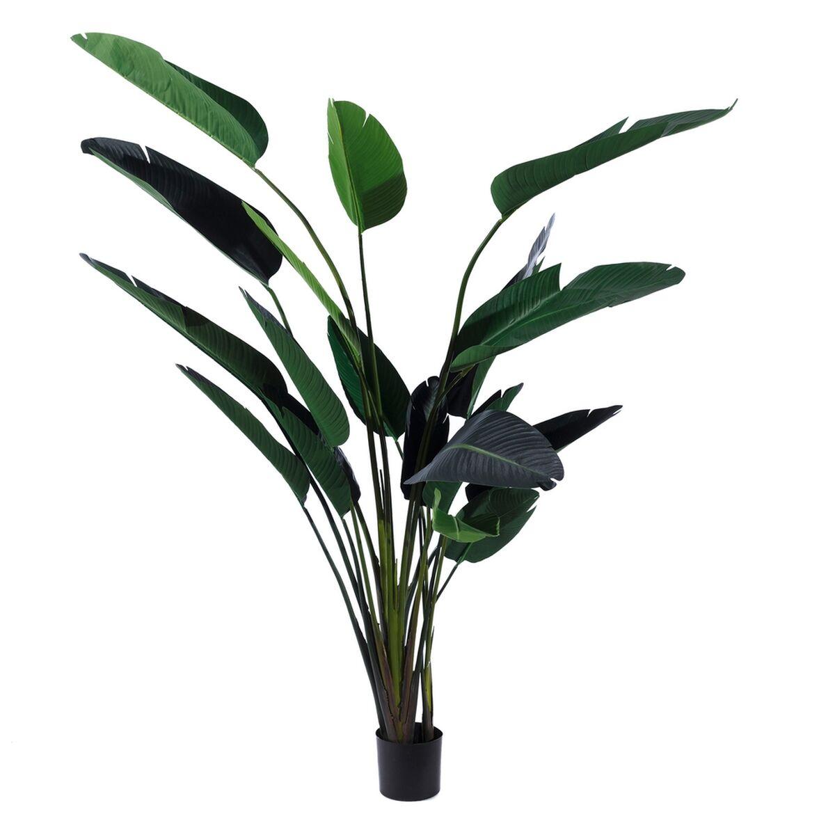 Dekorativ plante Polyetylen Jern Cement Paradisets fugl 245 cm 120 x 120 x 245 cm Dekorativ plante Polyetylen Jern Cement Paradisets fugl 245 cm 120 x 120 x 245 cm