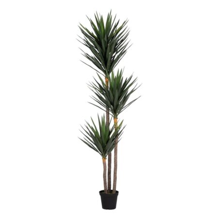 Dekorativ plante Polyetylen Jern Cement Yucca 30 x 30 x 250 cm