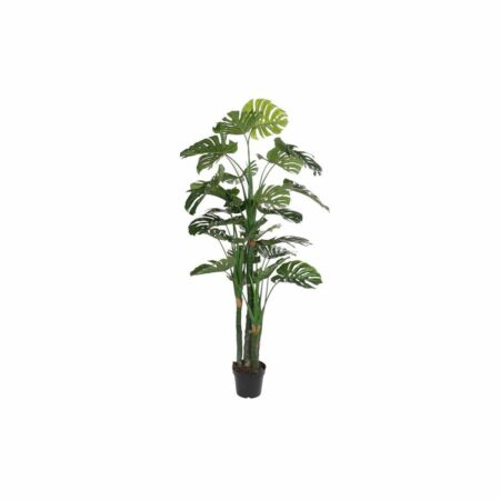 Dekorativ plante Polypropylen (PP) EVA (90 x 90 x 200 cm)