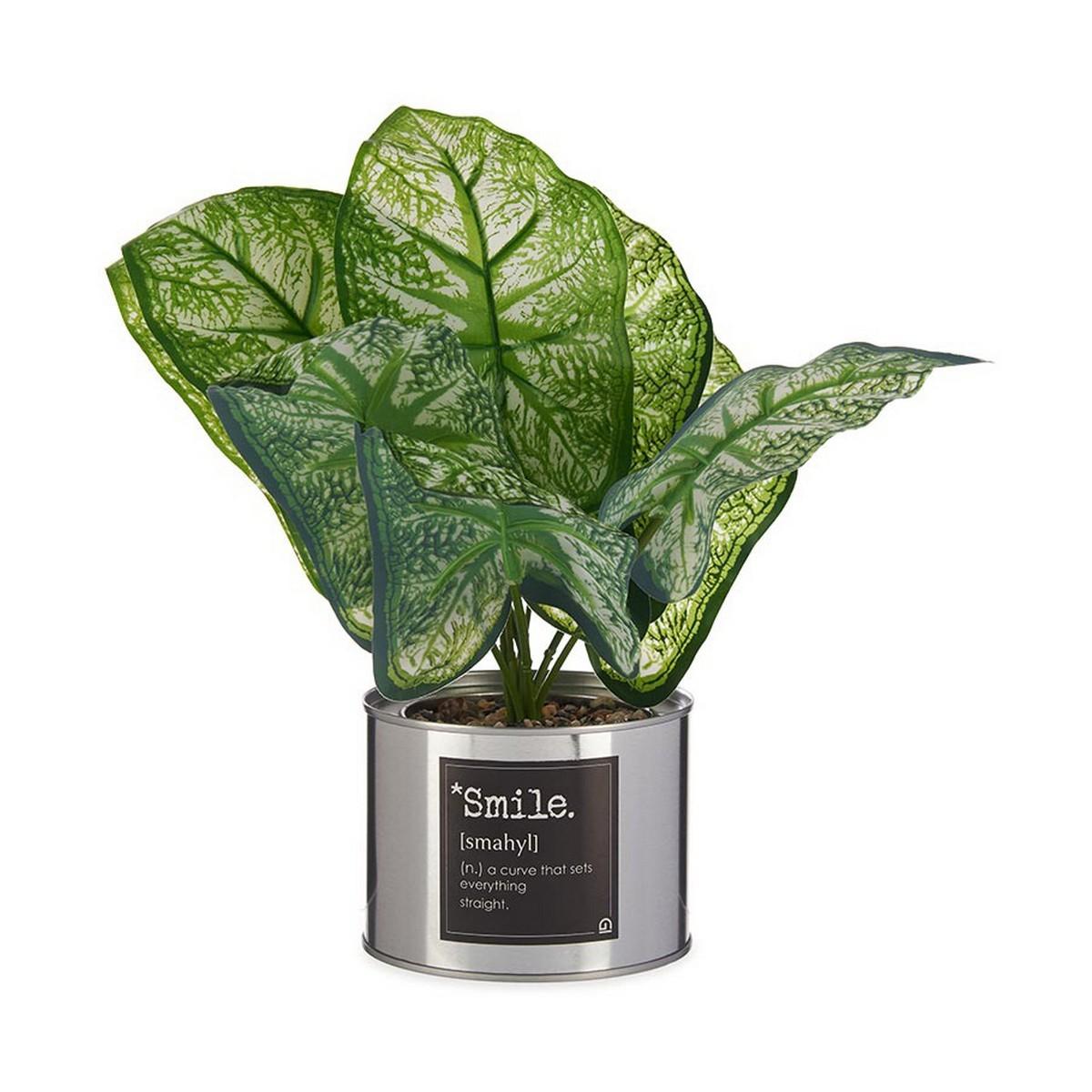 Dekorativ plante Smile Sølvfarvet Dåse Metal Plastik (26 x 26 x 26 cm) Dekorativ plante Smile Sølvfarvet Dåse Metal Plastik (26 x 26 x 26 cm)
