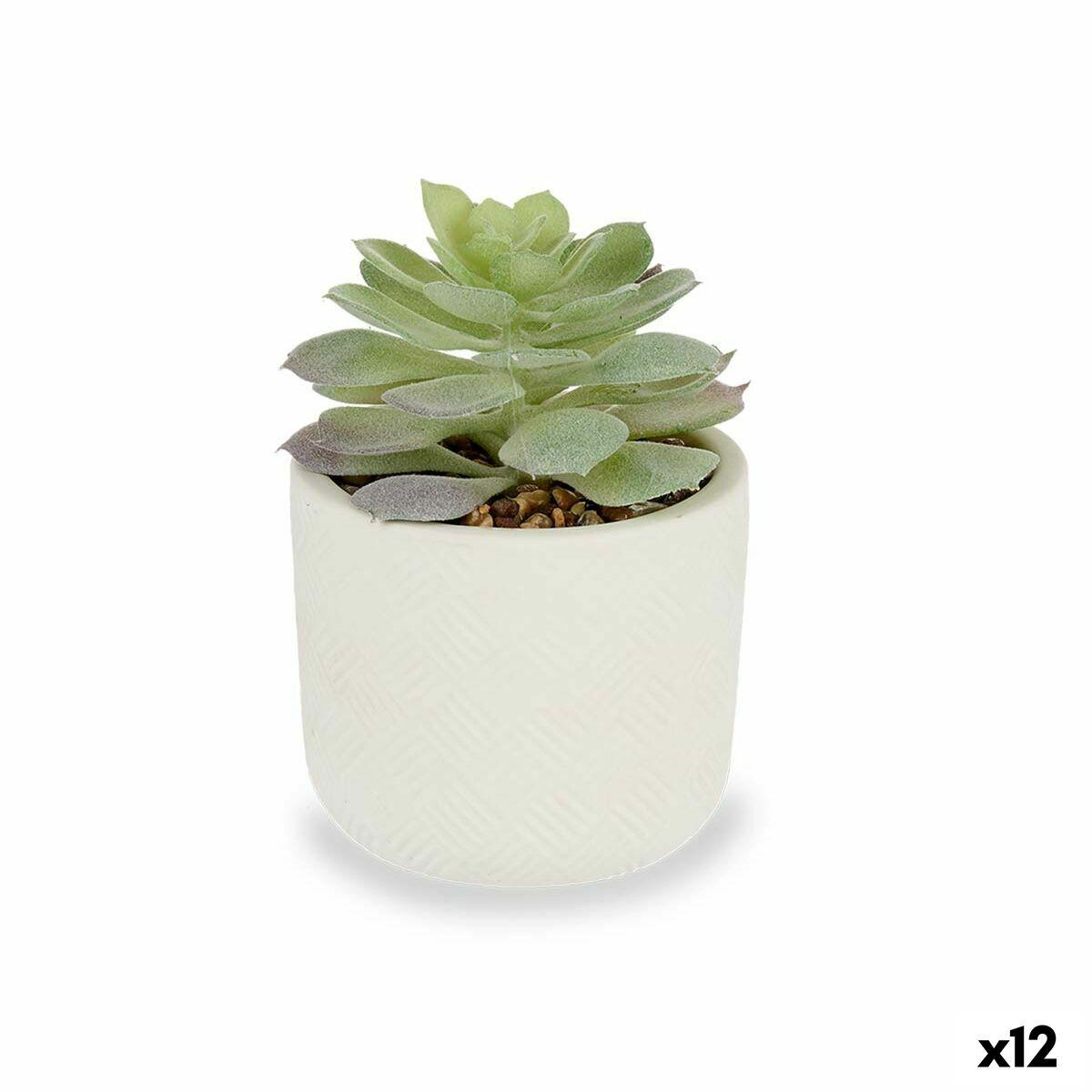 Dekorativ plante Sukkulent Plastik 14 x 13,5 x 14 cm (12 enheder) Dekorativ plante Sukkulent Plastik 14 x 13,5 x 14 cm (12 enheder)
