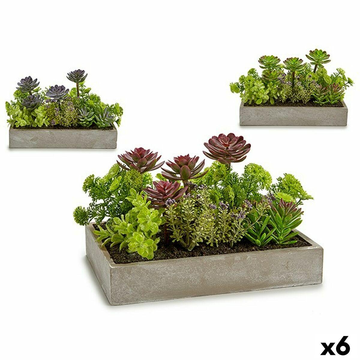 Dekorativ plante Sukkulent Plastik Cement 16,5 x 20 x 28,5 cm (6 enheder) Dekorativ plante Sukkulent Plastik Cement 16,5 x 20 x 28,5 cm (6 enheder)
