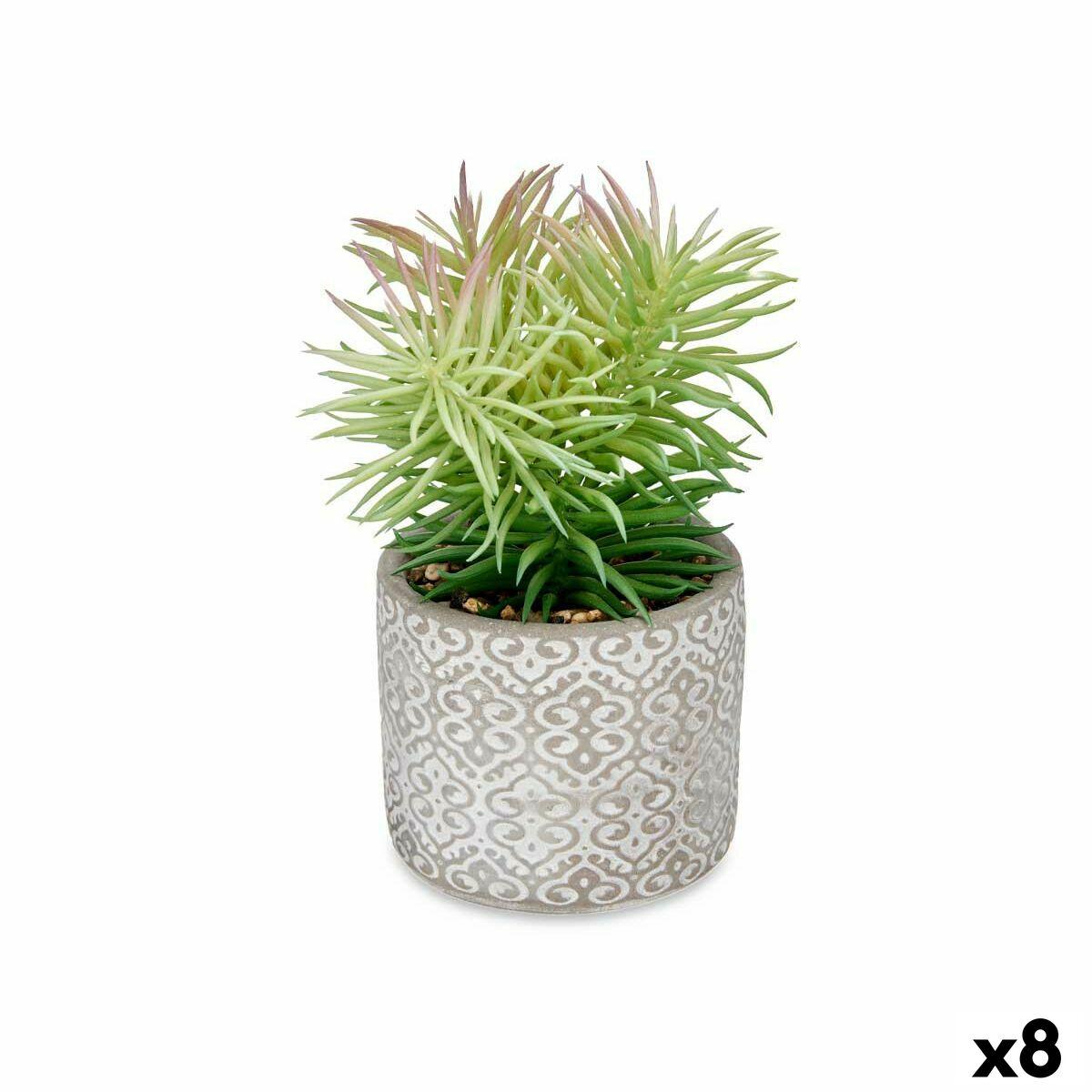 Dekorativ plante Sukkulent Træ Plastik 12 x 22 x 12 cm (8 enheder) Dekorativ plante Sukkulent Træ Plastik 12 x 22 x 12 cm (8 enheder)