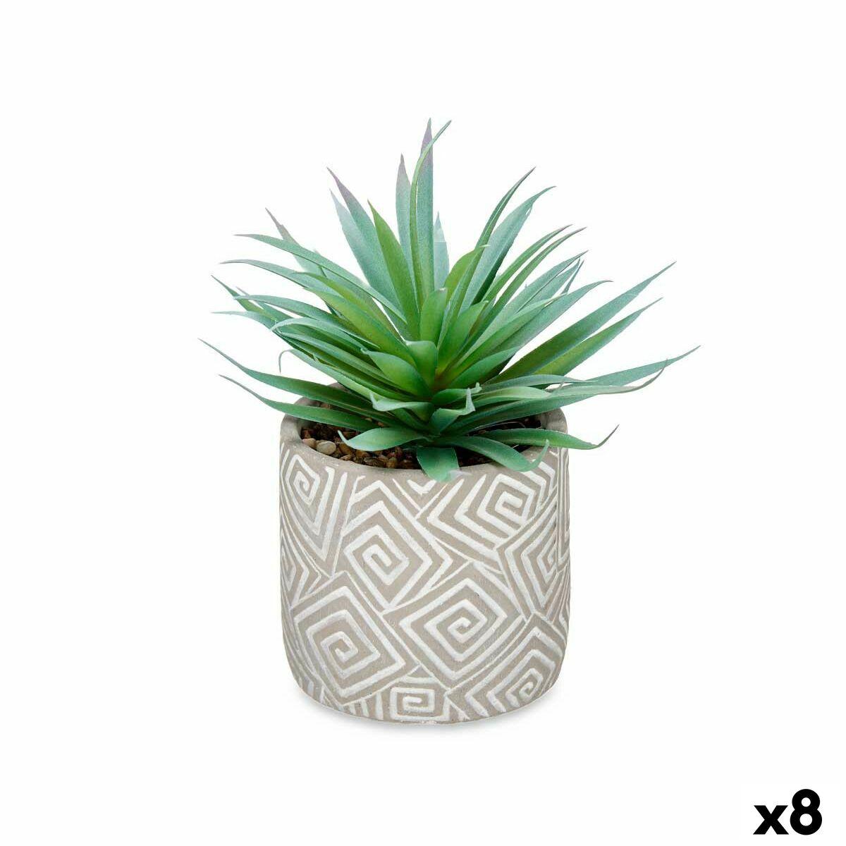 Dekorativ plante Sukkulent Træ Plastik 17 x 21 x 17 cm (8 enheder) Dekorativ plante Sukkulent Træ Plastik 17 x 21 x 17 cm (8 enheder)