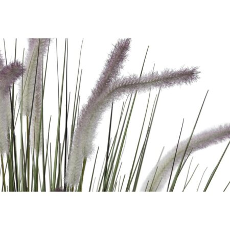 Dekorativ plante Syren (OUTLET B)