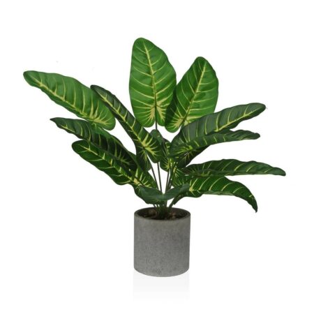 Dekorativ plante Versa 15 x 43 x 15 cm Papir Plastik