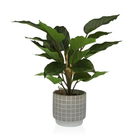 Dekorativ plante Versa Cement Plastik 15 x 47 x 15 cm