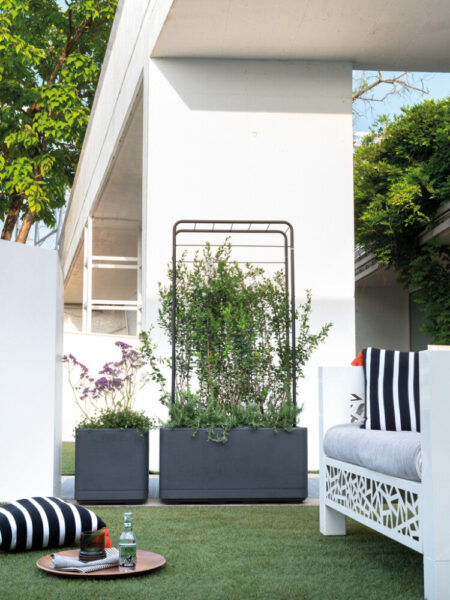 Deroma - Plantekasse Cosmo 78x38x38cm Genbrugsplast Antracit Hjul