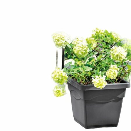 Deroma urtepotte firkantet antracit - Ø 38 cm, 27,4 l