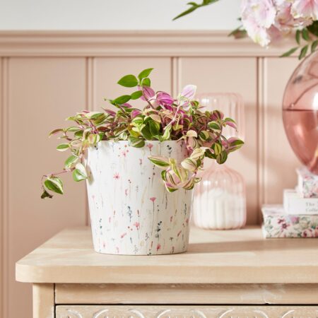 Dried Flowers Plant Pot MultiColoured