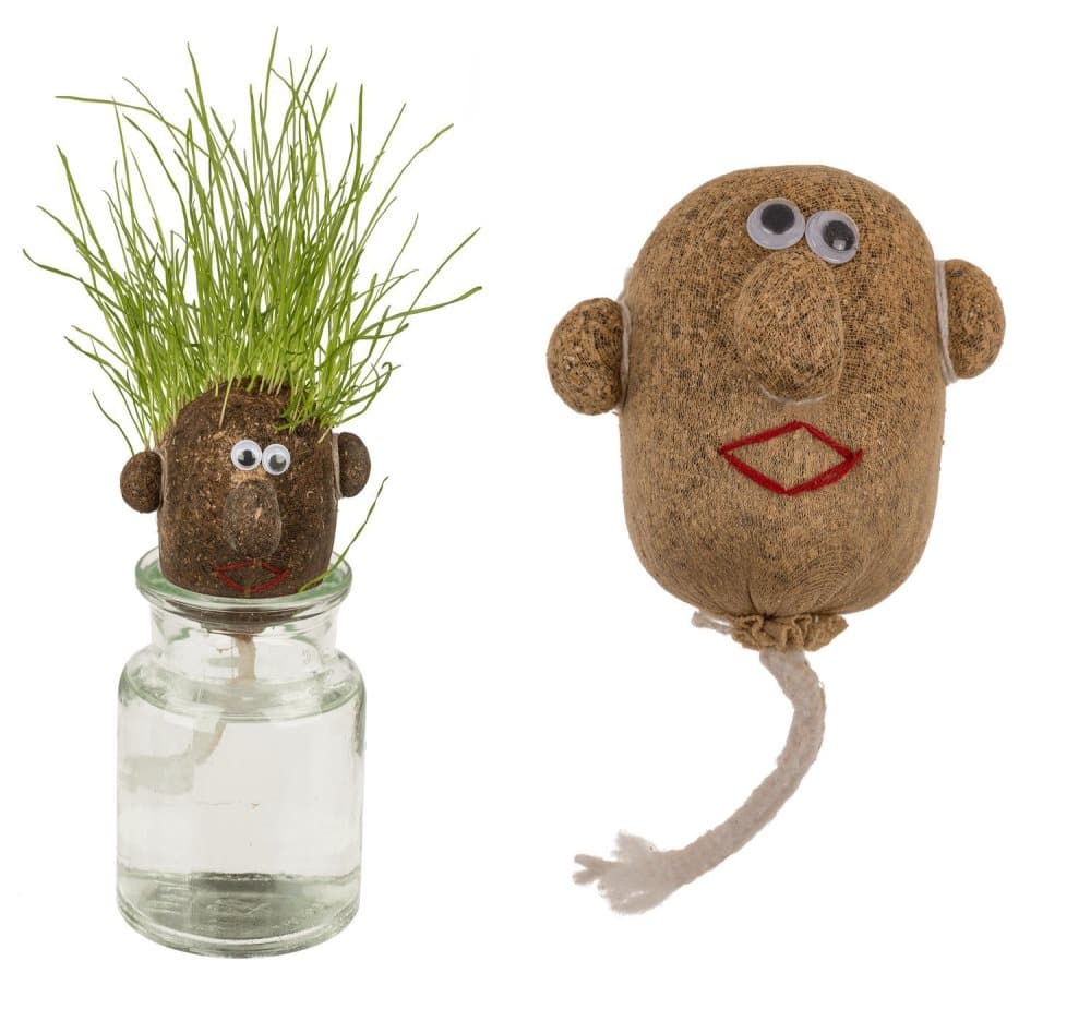 Dyrk din egen græskarl - Græsfr⌀ - Plant Græs Dyrk din egen græskarl - Græsfr⌀ - Plant Græs