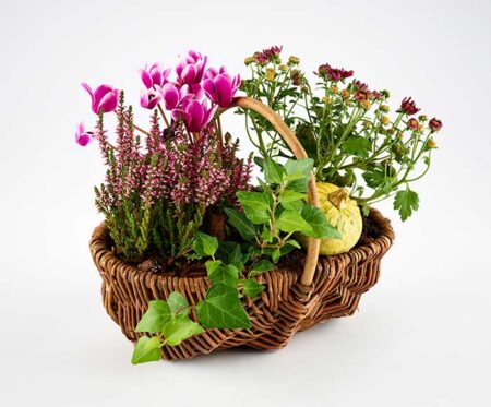 Efterår i lille kurv - Send blomster med Bloomit
