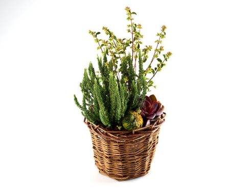 Efterårs beplantning i kurv - Send blomster med Bloomit