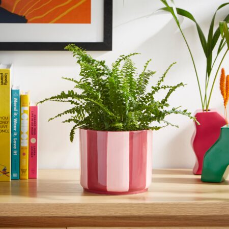 Elements Striped Ceramic Plant Pot Pink