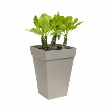 Elho urtepotte 29,5 cm - hvid, firkantet, moderne