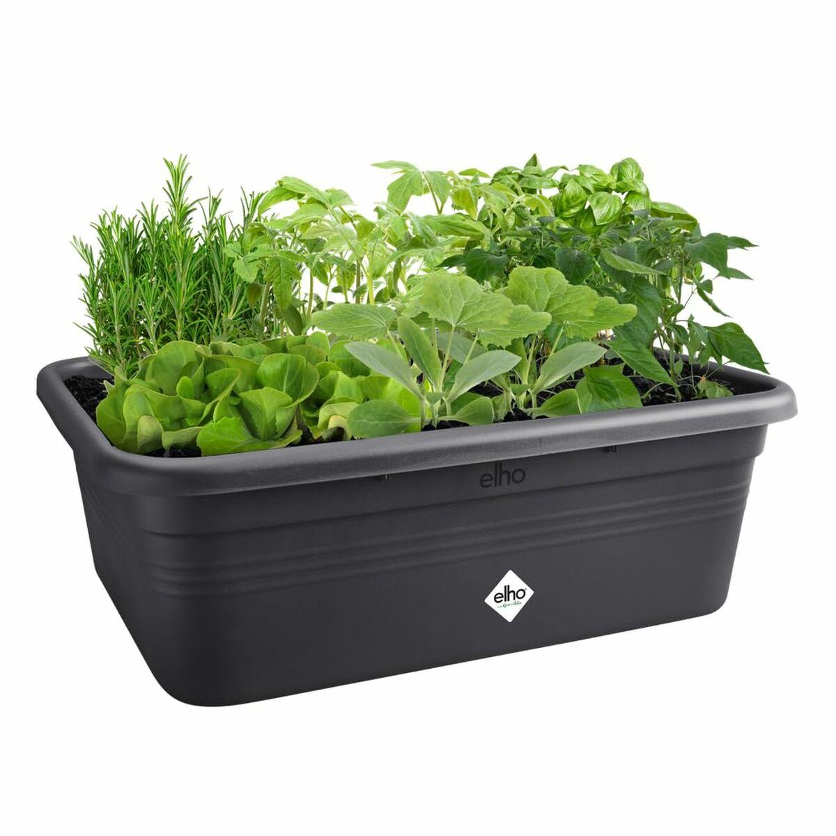 Elho urtepotte - firkantet 76 × 26,8 cm, sort plast Elho urtepotte - firkantet 76 × 26,8 cm, sort plast