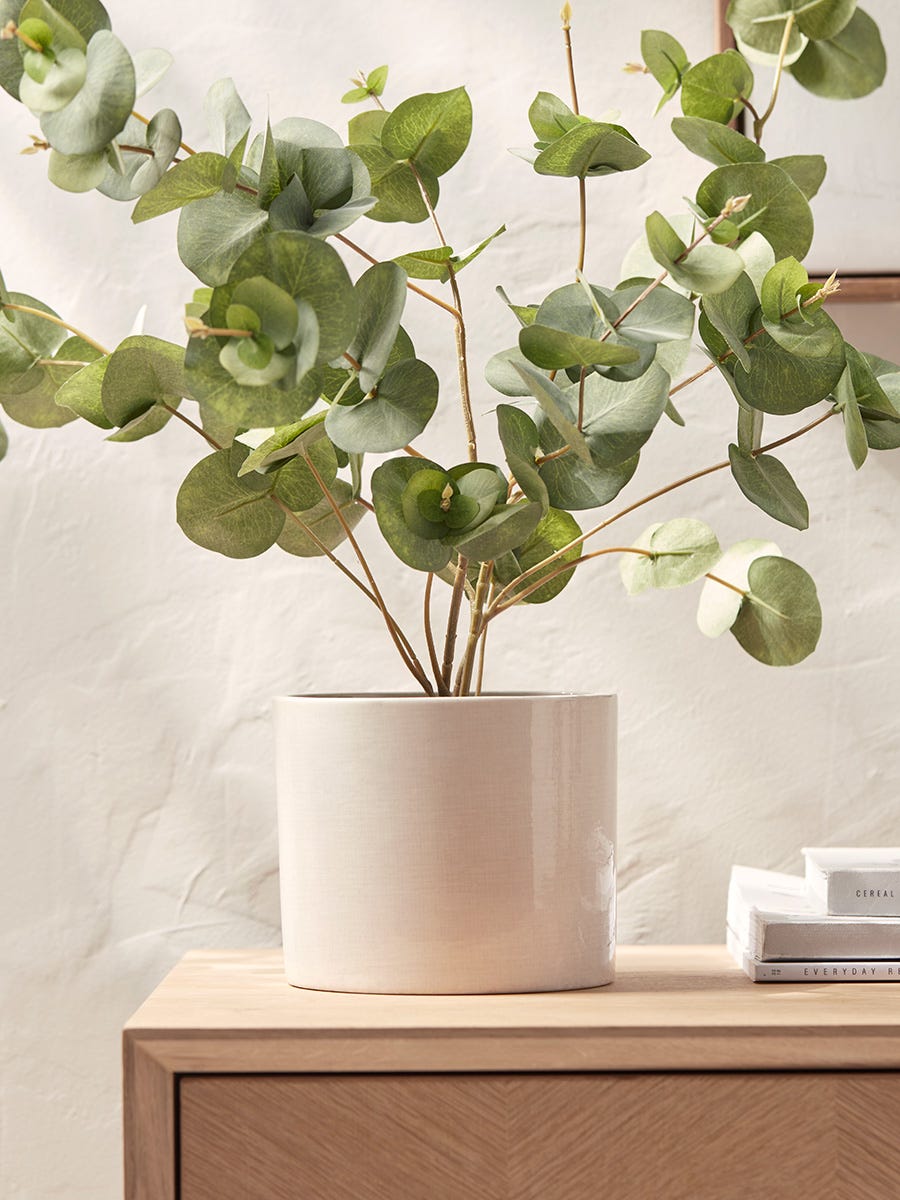 Eliza Planter Eliza Planter