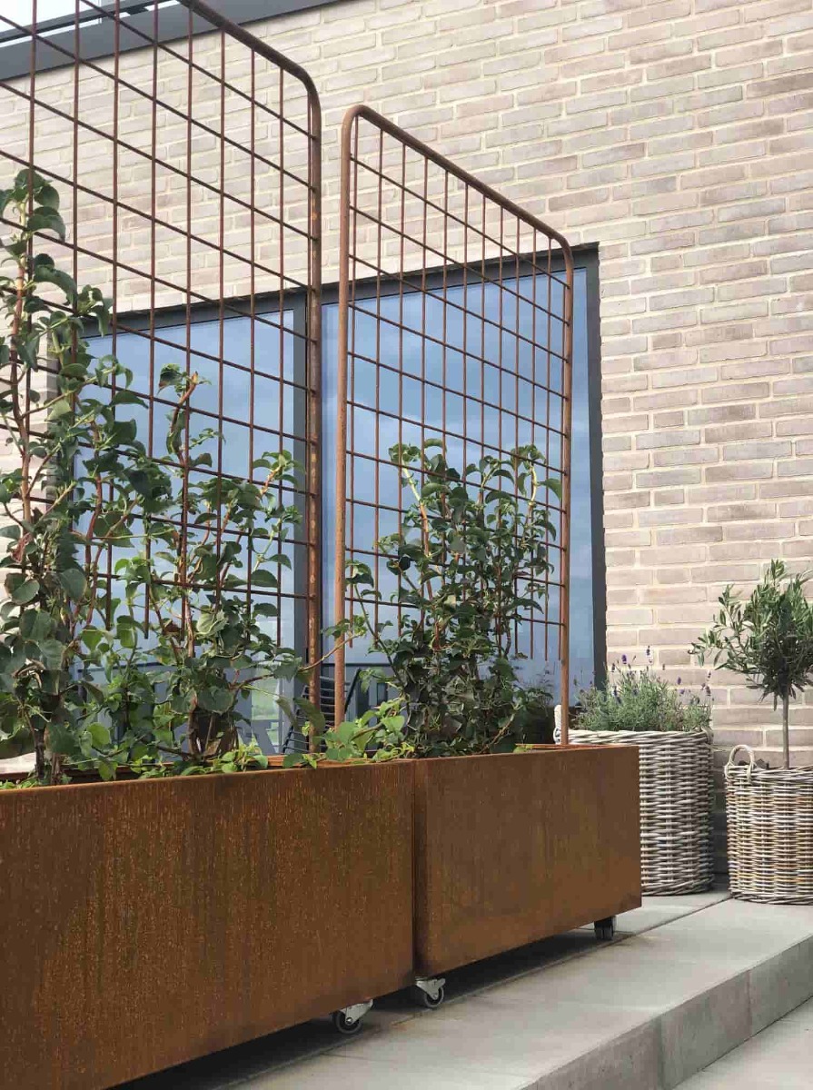 Espalier til plantekasse | Jern Espalier til plantekasse | Jern