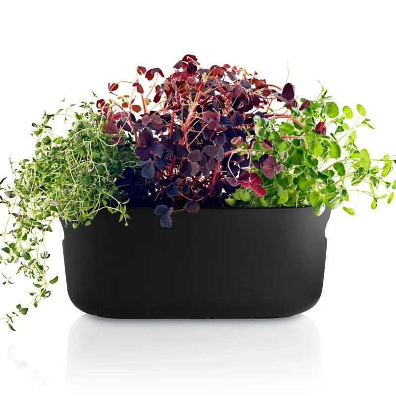 Eva Solo Eva Solo selvvandende herb organiser Sort