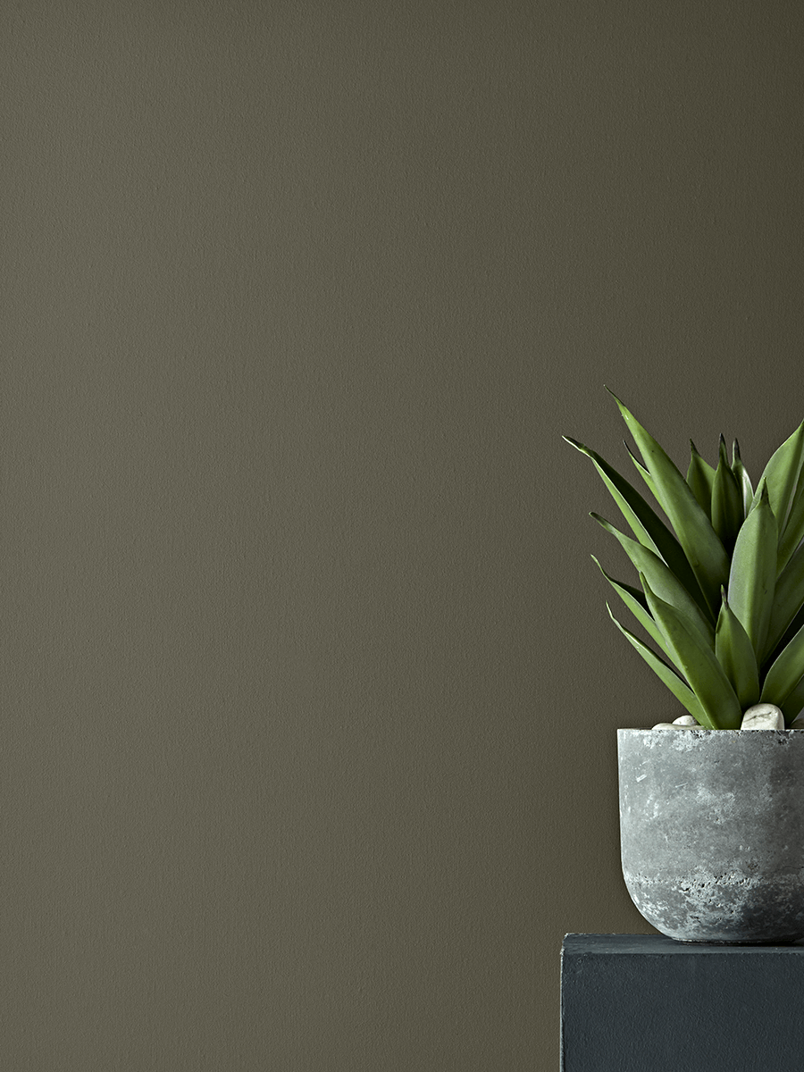 Faux Potted Aloe