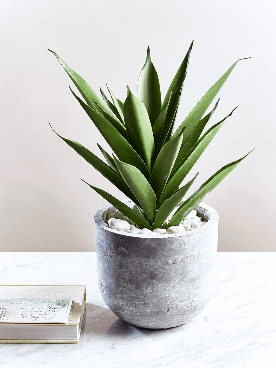 Faux Potted Aloe Faux Potted Aloe