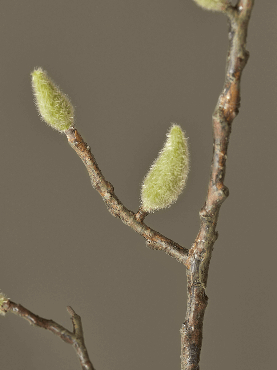 Faux Potted Magnolia Tree
