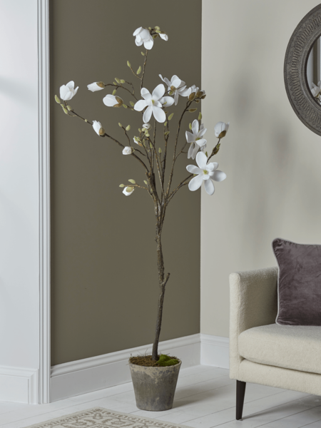 Faux Potted Magnolia Tree