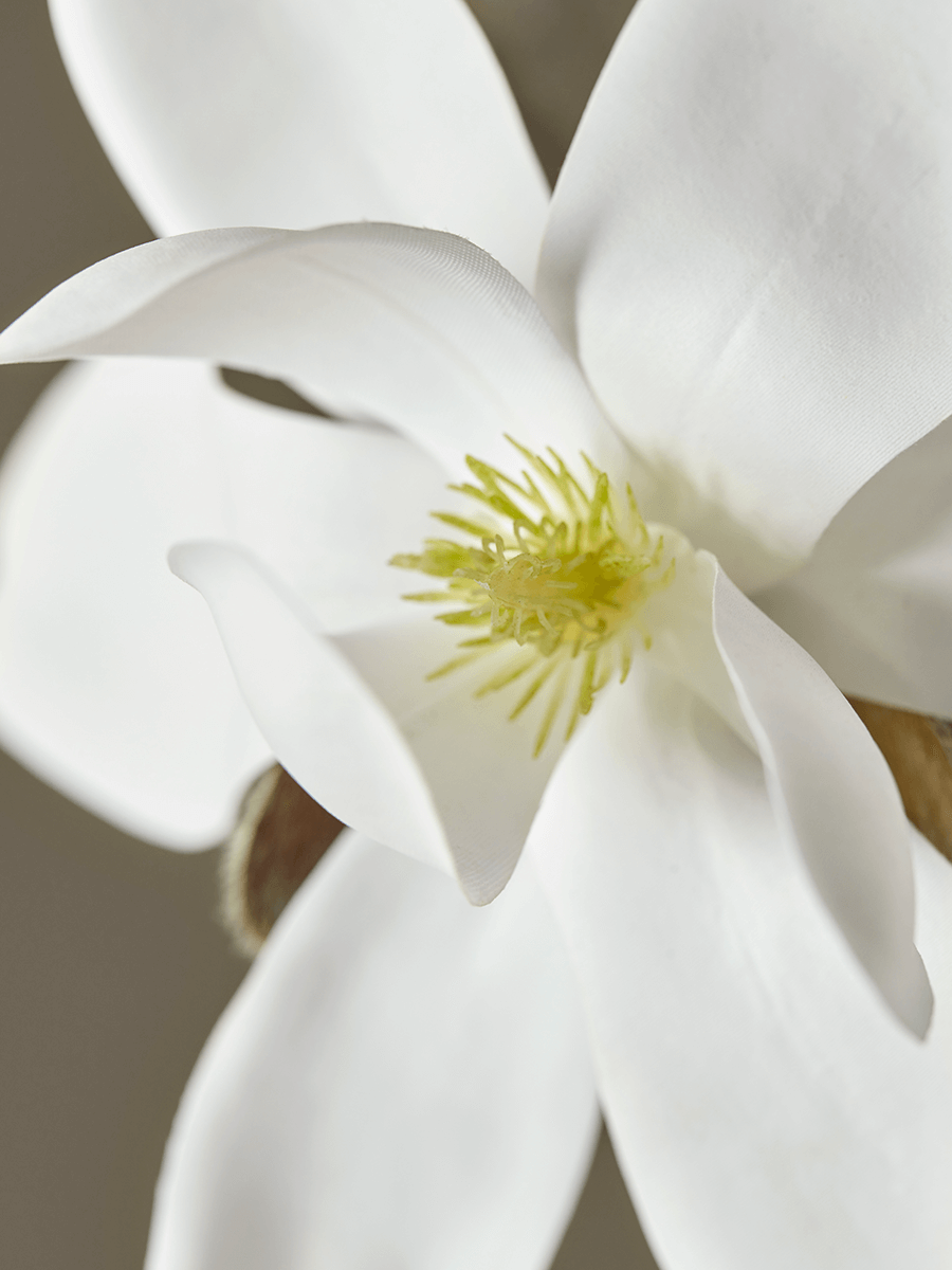 Faux Potted Magnolia Tree