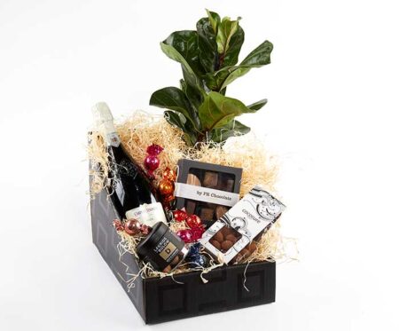 Festlig gavekasse med plante - Send gavekurve og blomster med Bloomit