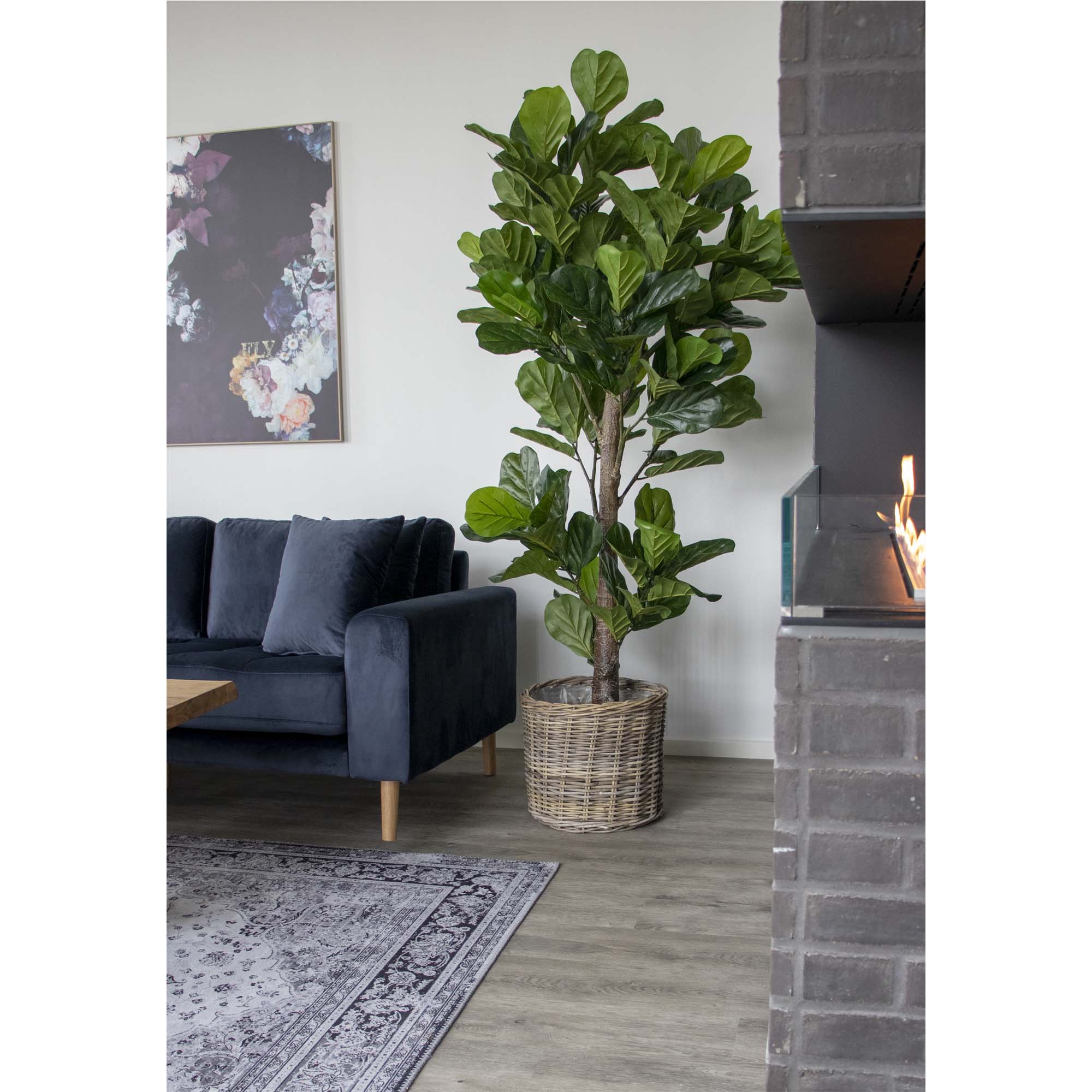 Fiddle Violinfigen - Kunstig plante 190 cm Fiddle Violinfigen - Kunstig plante 190 cm