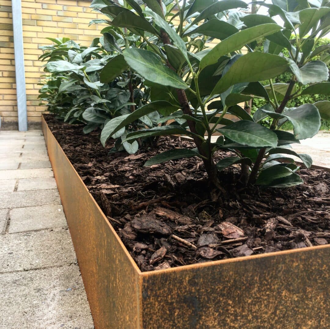Firkantet højbed i 3mm cortenstål Højde 30cm - 100 x 100 cm Firkantet højbed i 3mm cortenstål Højde 30cm - 100 x 100 cm