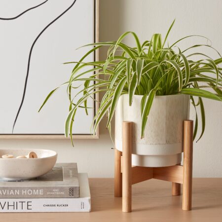 Foldable Bamboo Plant Stand Natural
