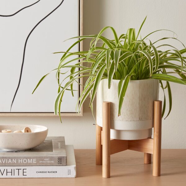 Foldable Bamboo Plant Stand Natural