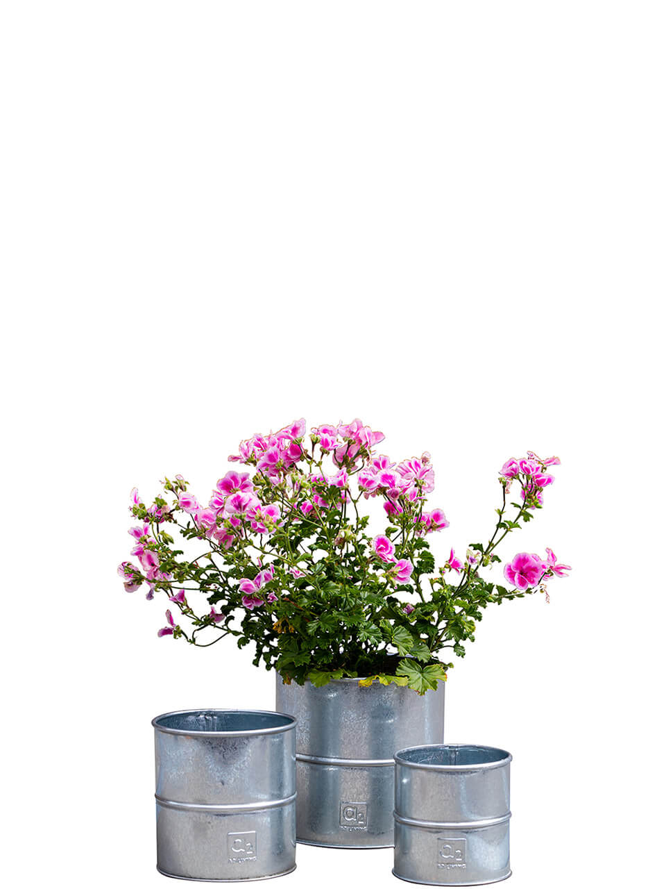 Galvaniserede Urtepotte (sæt m. 3 stk. / 3 str.) Galvaniserede Urtepotte (sæt m. 3 stk. / 3 str.)