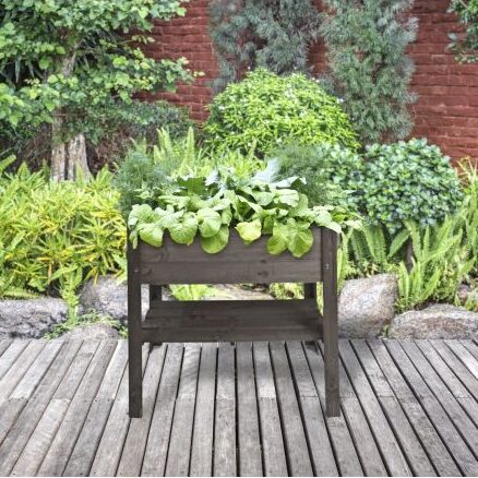 Gardenlife Højbed Sort Højbed Sortbejdset fyrretræ med hylde