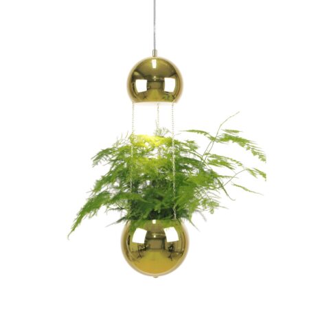 Globen Lighting Planter loftlampe og ampel messing