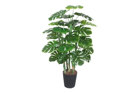Grøn plante MONSTER H120cm 5 grene sort gryde -