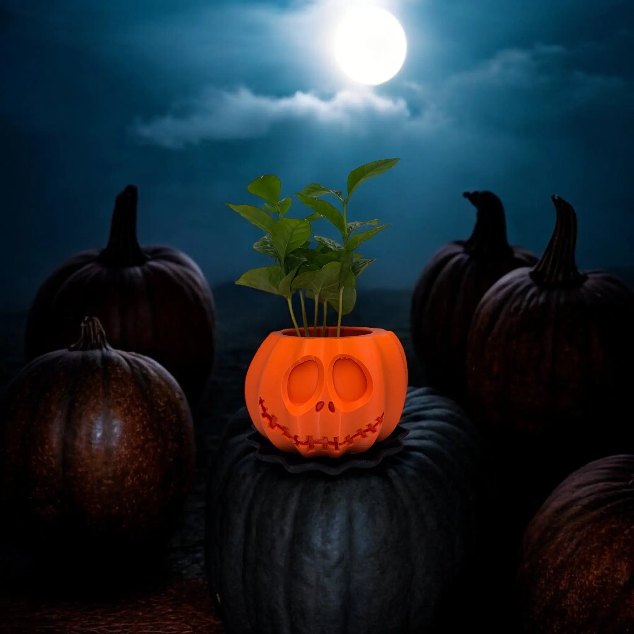 H3L Jack o'Planter Halloween Blomsterpotte med Underskål - Sort H3L Jack o'Planter Halloween Blomsterpotte med Underskål - Sort