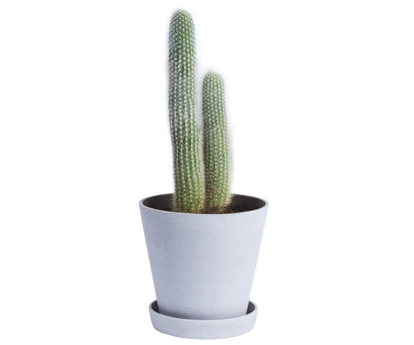HAY Flowerpot with Saucer - XXXL - Grey HAY Flowerpot with Saucer - XXXL - Grey