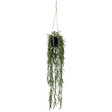 Hængende plante Haniya; 55 cm (L); Gr⌀n/Brun