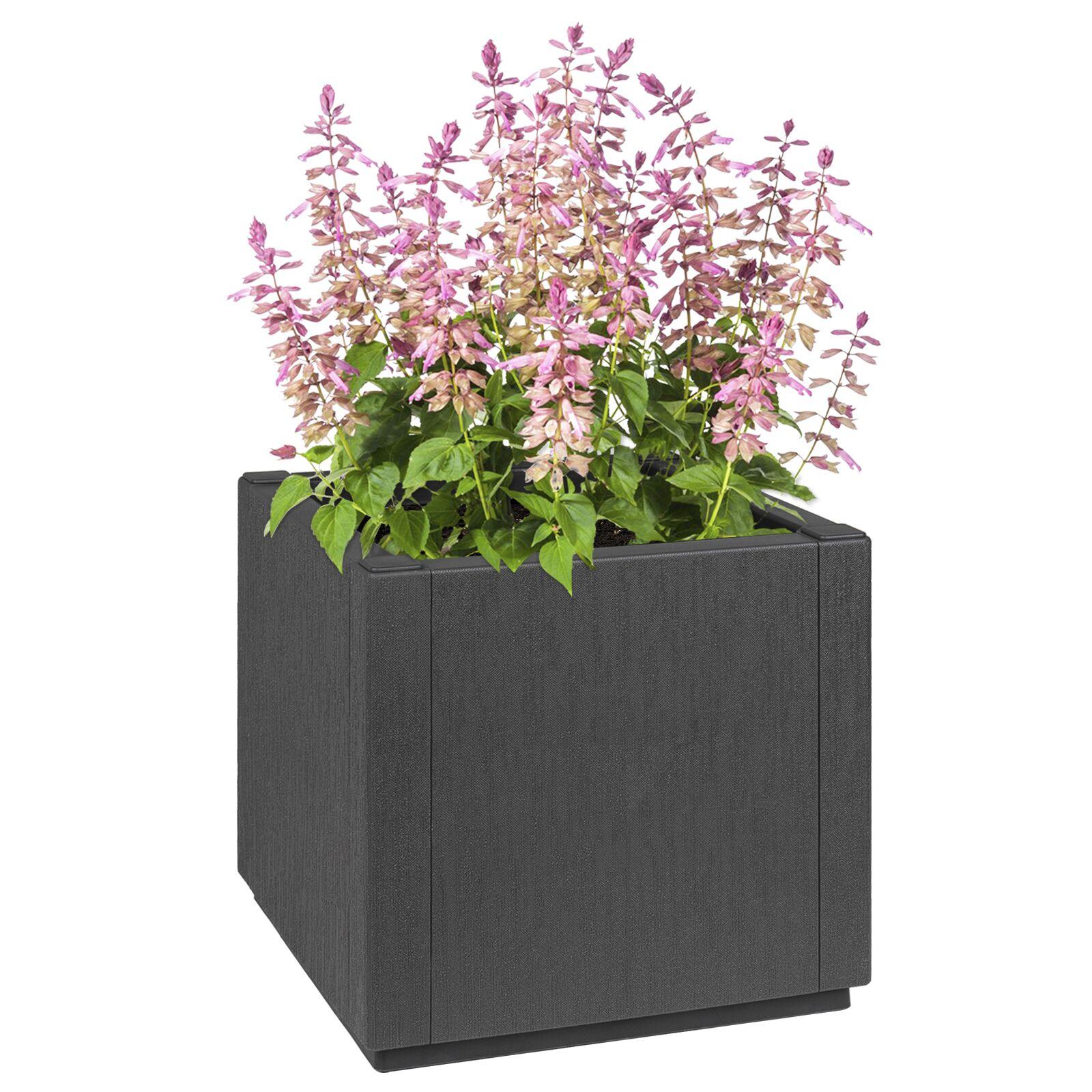 Have Blomsterkrukke Antracit 36 x 36 x 35 cm Polypropylen Have Blomsterkrukke Antracit 36 x 36 x 35 cm Polypropylen