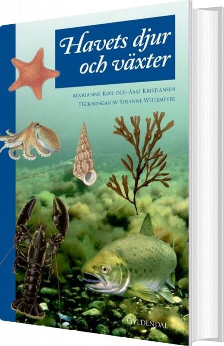 Havets Dyr Og Planter - Aase Kristiansen - Bog