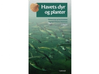 Havets dyr og planter | Marianne Køie Aase Kristiansen