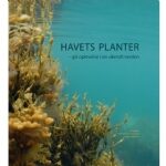 Havets planter |