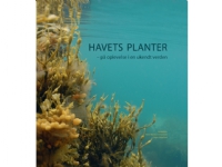 Havets planter |