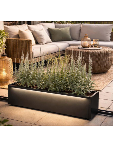 Herstera CUBE Højbed med LED lys i stål H25 x B100 x D28 cm - Antracit