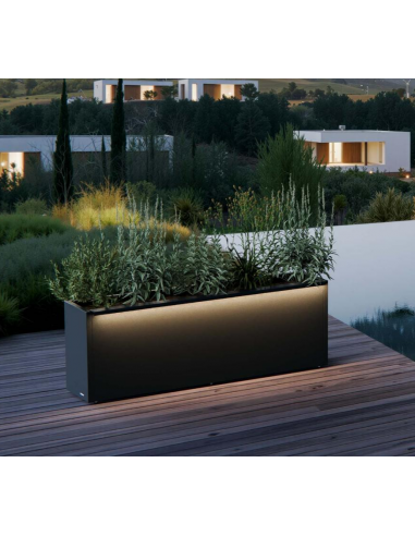 Herstera CUBE Højbed med LED lys i stål H50 x B150 x D33 cm - Antracit