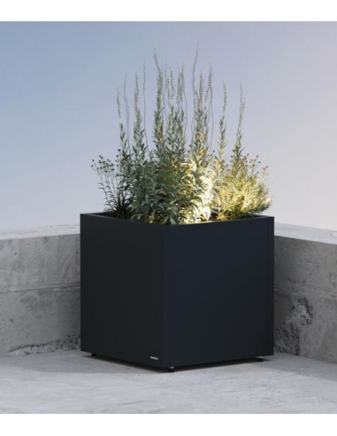 Herstera CUBE Højbed med LED lys i stål H50 x B50 x D50 cm - Antracit Herstera CUBE Højbed med LED lys i stål H50 x B50 x D50 cm - Antracit
