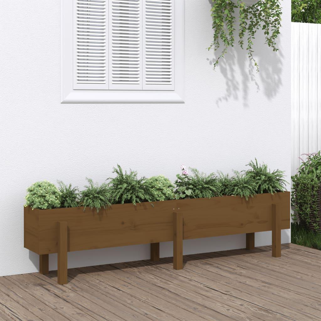 Højbed 160x30x38 cm massivt fyrretræ gyldenbrun Højbed 160x30x38 cm massivt fyrretræ gyldenbrun