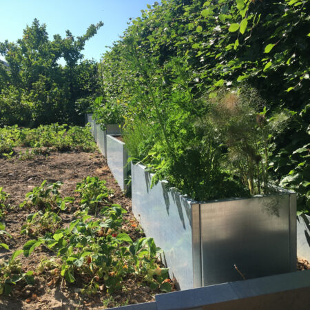 Højbed i galvaniseret stål | B40 H40 | L40 cm